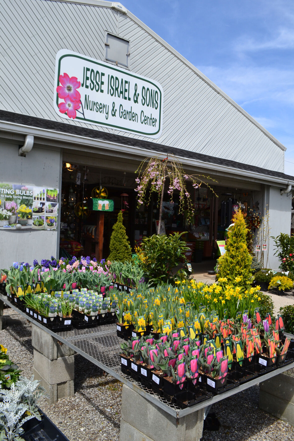 farmers market 4.jpg